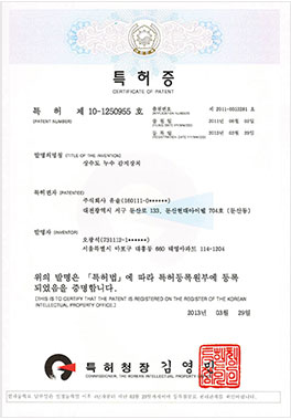 제 10-1250955호